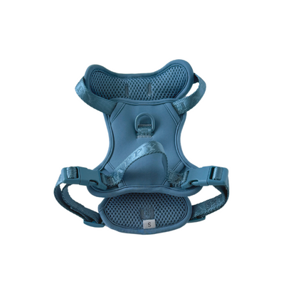 Pawa Harness - Blue