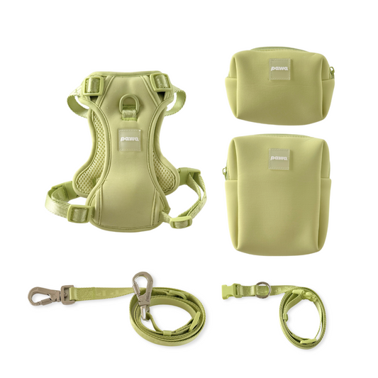 Pawa Hands-free Leash Set - Green